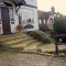 Driveways, Patios and Steps