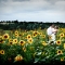 Wedding Sample