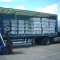 Large Collections Catered For