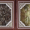 chocolate pizza's