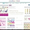Our Website