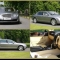 Bentley Car Chauffeur Hire