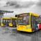 CityBus