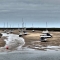Wells by the Sea