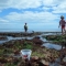 Rockpooling Beer