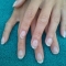 French Shellac