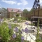 Designed and completed by Jill Blackwood Garden Design