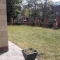 Before gardening services