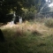 Before gardening services