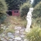 Before gardening services