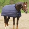 Horse Rugs