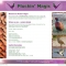 Website designed by Web Studio 'Marita' for Pluckin' Magic in Fife