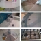 Domestic Clean