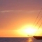 No Questions too big or small. Q can help with all your I.T. and communications needs.