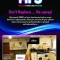 MFS Flyer