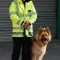 Security Dog Handler