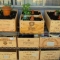Beer crates