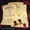 Theatre Wedding Invitations