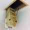 Loft ladders 