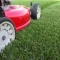 Garden Maintenance