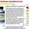 the best to prevent and cure diabetes and the only one that can help you get rid of insulin for good