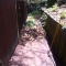 During