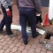 emergency drains service