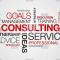 small and medium business consultancy