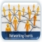 Networking Events