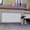 Sectional door with side door