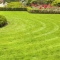 Essex Garden Care