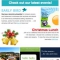 Horley Chamber of Commerce Mailing Campaigns