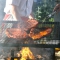 Services - Food Catering