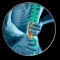Back Pain