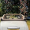 our confetti cannons in action!