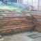 landscpeing