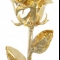 24ct Gold Dipped Rose