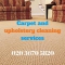 Carpet and upholstery cleaning