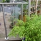 bespoke balustrade