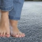 Spotless carpets in Wilmslow