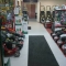 showroom 1