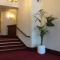 Hire Best Interior Painters in London