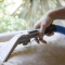 MasterClean Uphyolstery cleaning