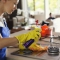 Master Clean Domestic