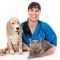 pet care