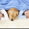 children-and-dog-asleep-on-carpet-min