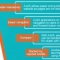 Custom Software Development Company USA