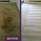 Carpet cleaning Sutton