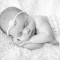 baby