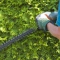 Hedge Cutting Colchester